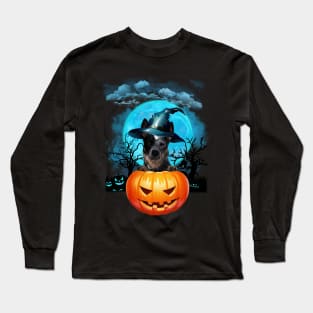 Blue Heeler Witch Hat Pumpkin And Blue Moon Halloween Long Sleeve T-Shirt